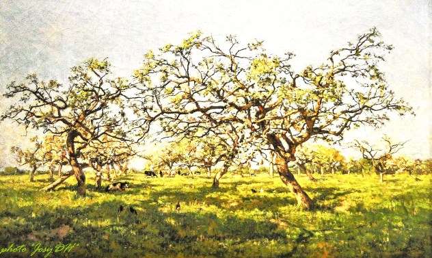 Isidore Verheyden (1846-1905) - Verger au printemps - 1878