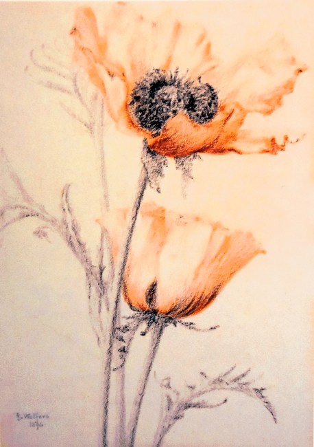 Pavots de Philippe Wolfers (2)