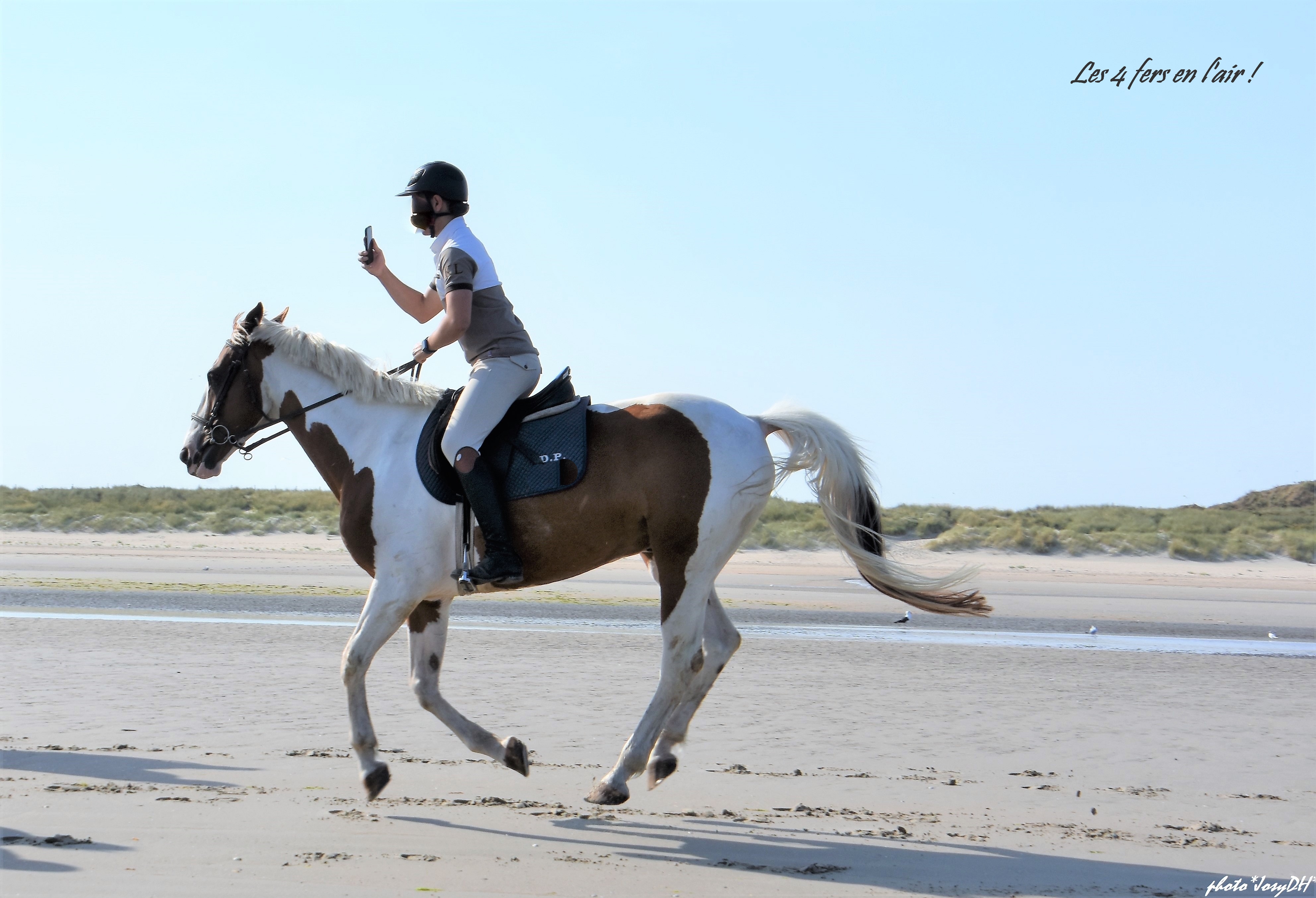 CAVALIER - LE LONG DE L EAU
