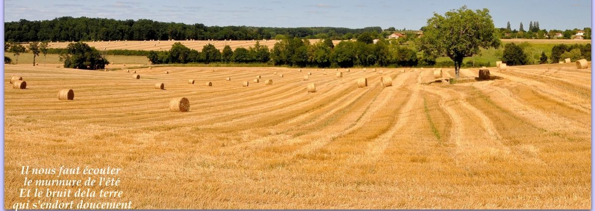 On ne voit bien qu'avec le coeur (bis)