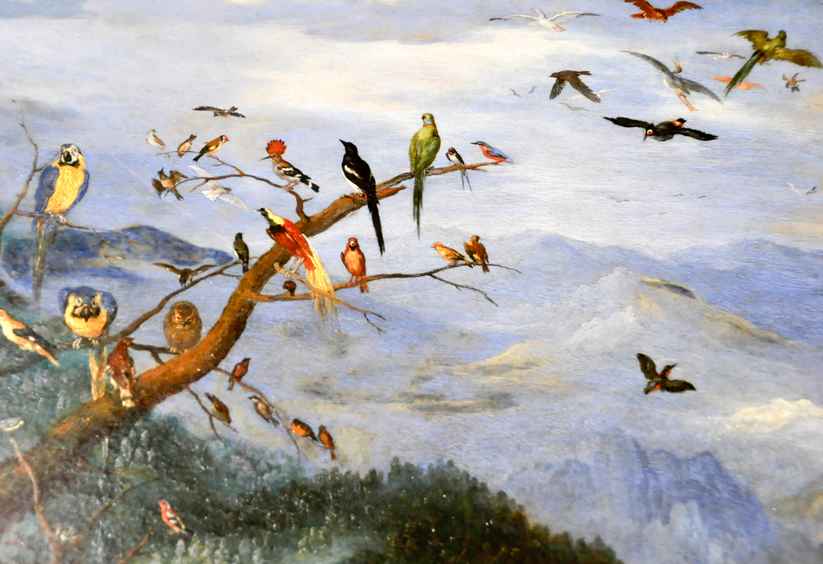 L'Air Jan Brueghel l'Ancien dit de Velours (1568-1625 (5)