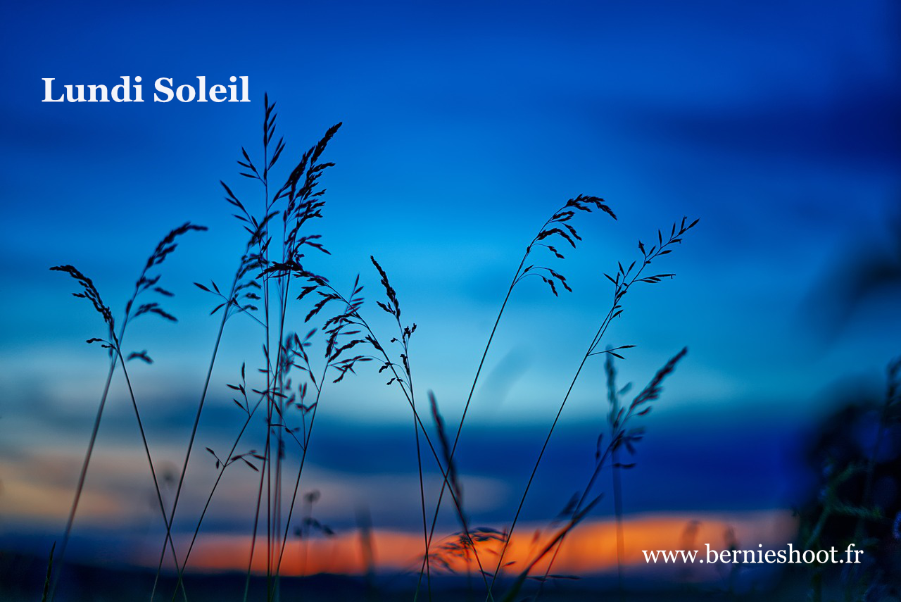 lundi-soleil-2024-logo-defi-photo-bernieshoot
