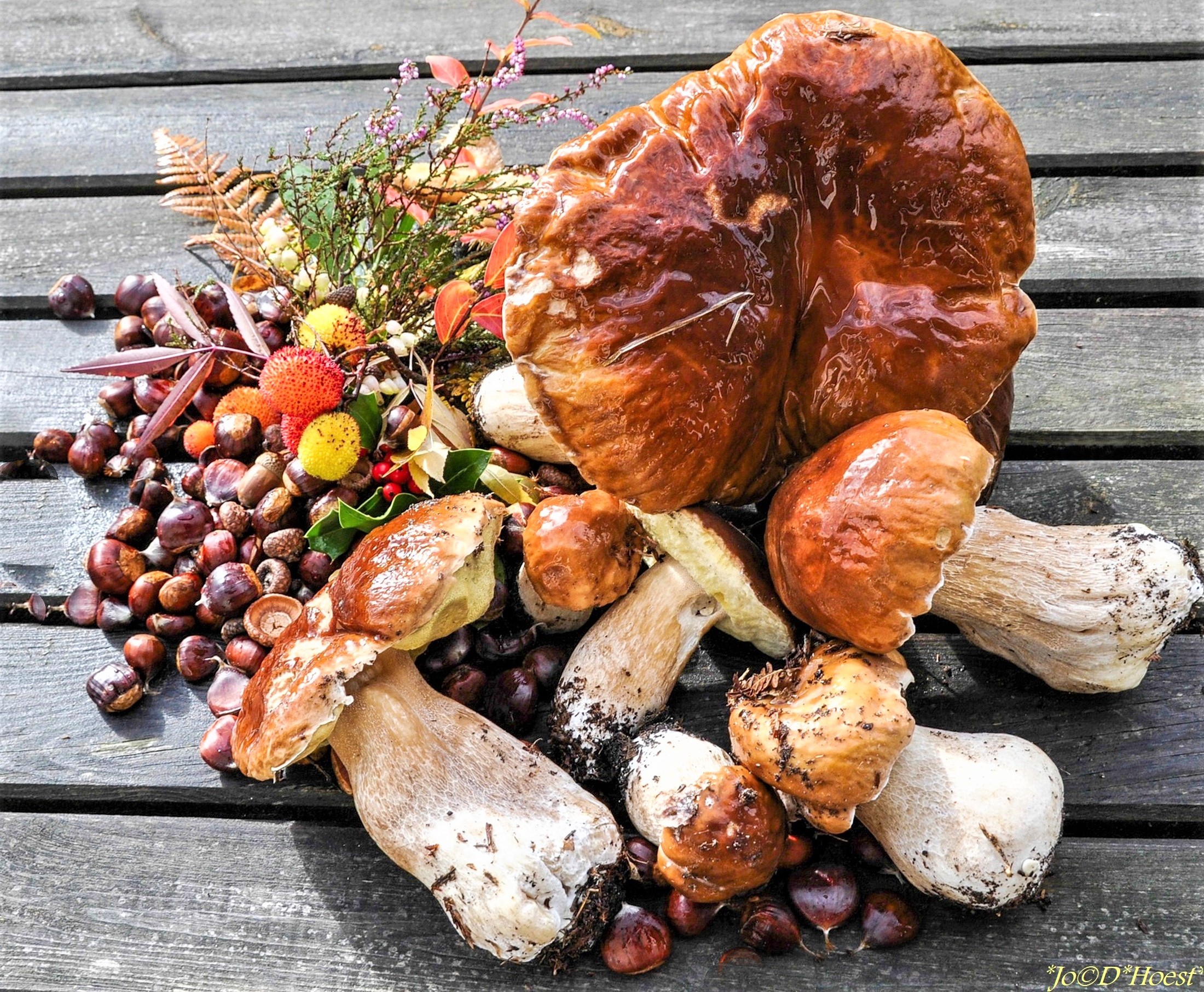 Plaisirs d'automne_-8