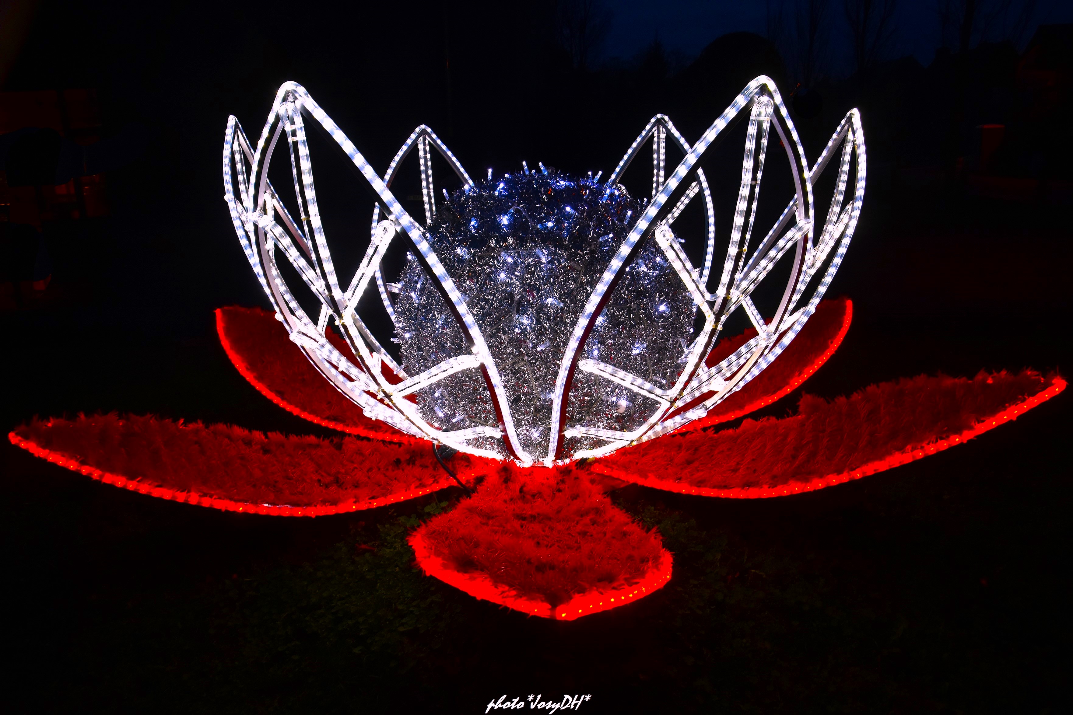 2022 - 31 décembre (6)